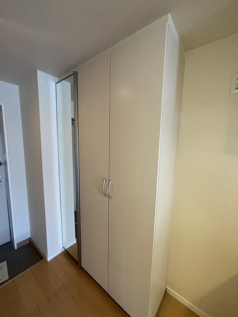 グリーンフラッツ0203号室 玄関