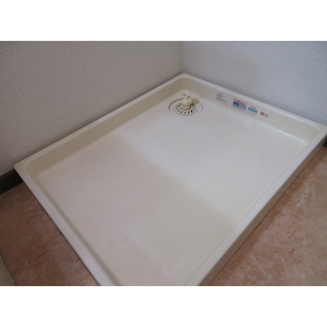 ハイツ　マイルド0203号室 室内洗濯機置場