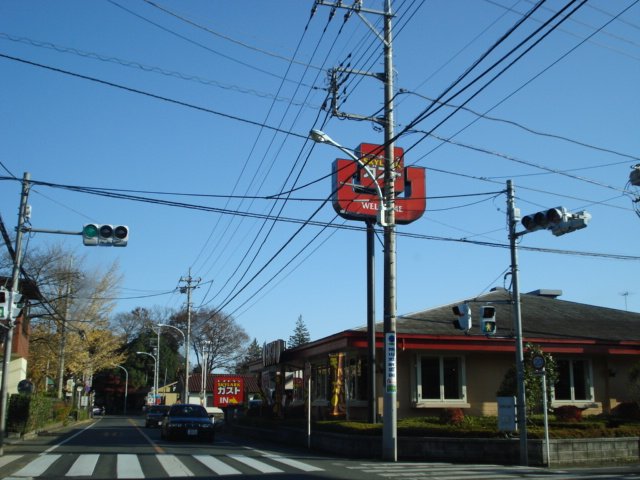 ピュアオール ガスト東大和蔵敷店（から好し取扱店）まで916ｍ
