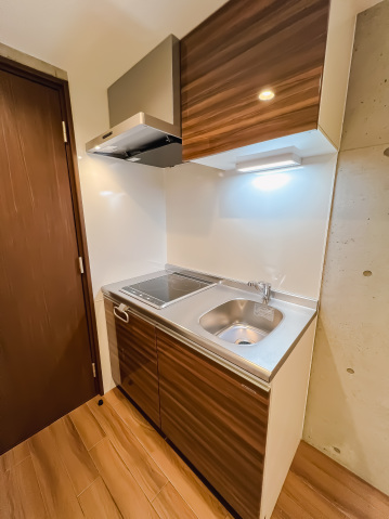 防音マンション　スカイラシクラス武蔵関205号室 ※別物件参考写真