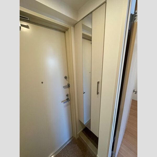 ロイジェント西新井0509号室 玄関