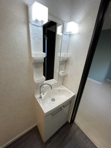 エスタシオン横浜203号室 洗面