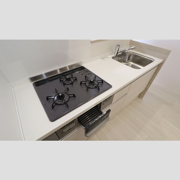 ビーネ北坂戸102号室 システムキッチン