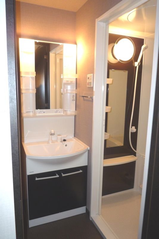 ブレシア銀座イースト 洗面