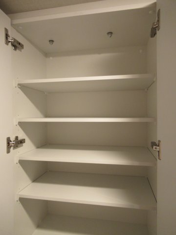 DIPS赤羽北WEST404号室 収納