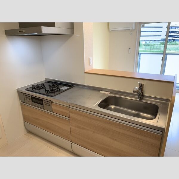 ロイジェントパークス レイクタウン Ⅲ　H201号室 システムキッチン