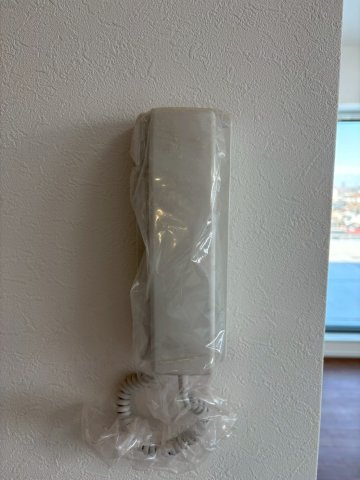 DIPS竹ノ塚駅前803号室 セキュリティ