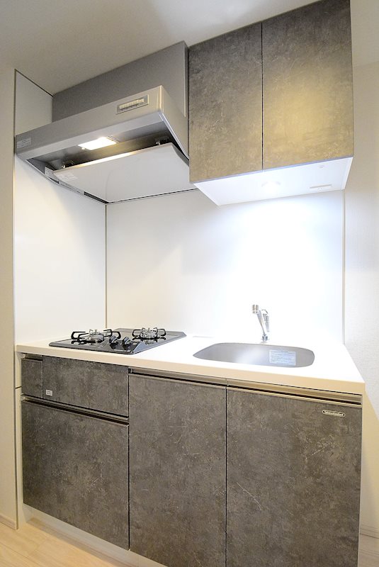 ステージファースト桜新町 ※カラータイプ異なります