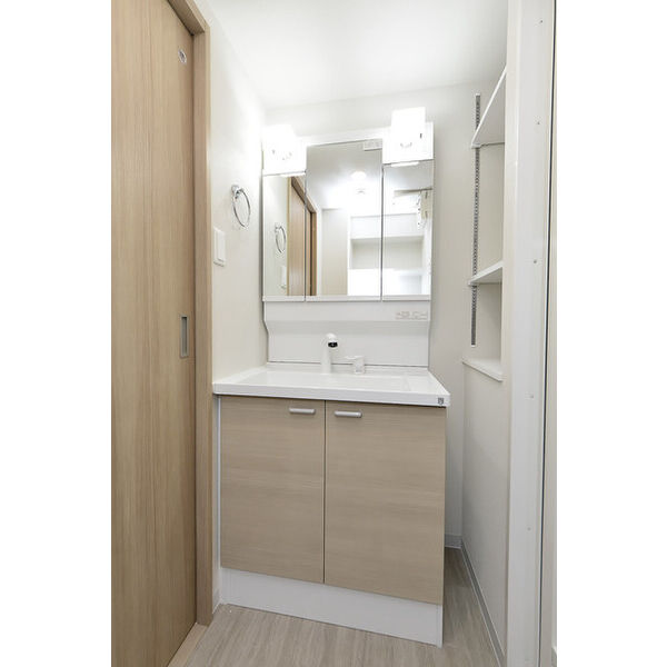 クリオ　ラモード学芸大学Ⅱ0401号室 洗面