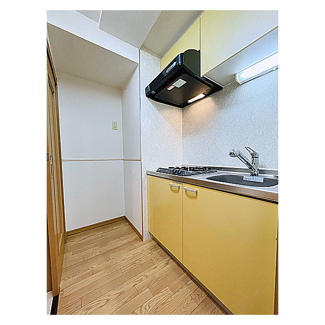 コスモリード大森町0201号室 キッチン