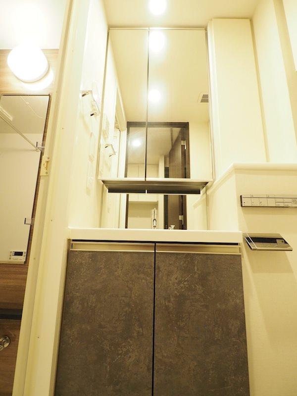 レジディア門前仲町プレイス5階 洗面