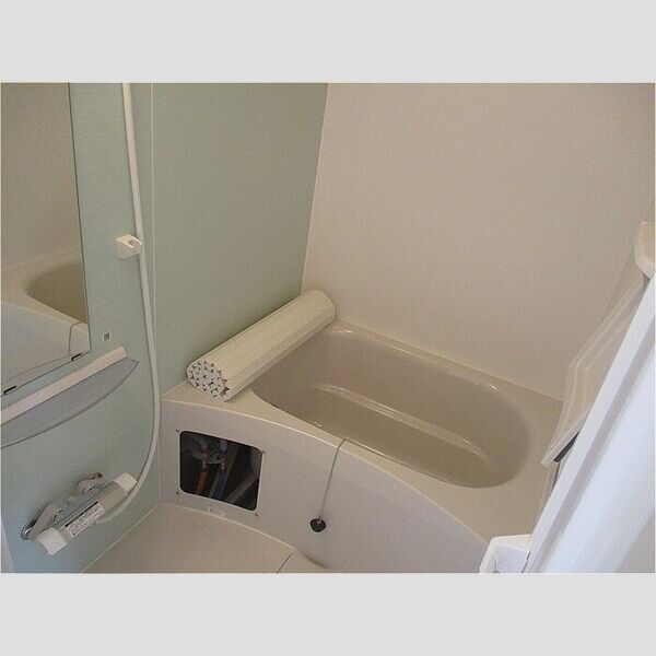 fortuneXI　(フォーチュンイレブン) 浴室