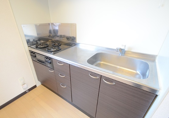 レオネクストアスパイア キッチン