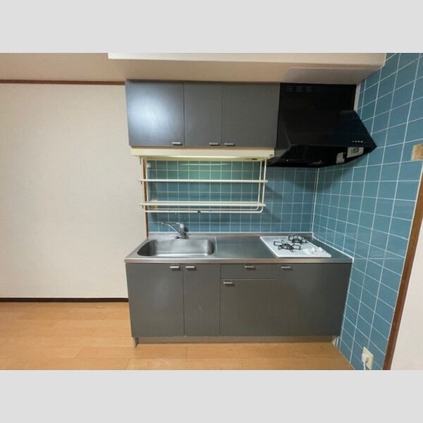 農住メゾンサニーホームズ　A202号室 システムキッチン