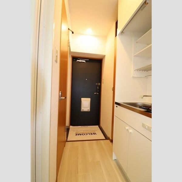 ロイヤル武蔵野210号室 玄関