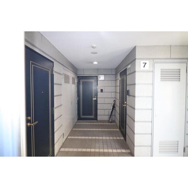 TERCERO-KAWASAKI603号室 エントランス