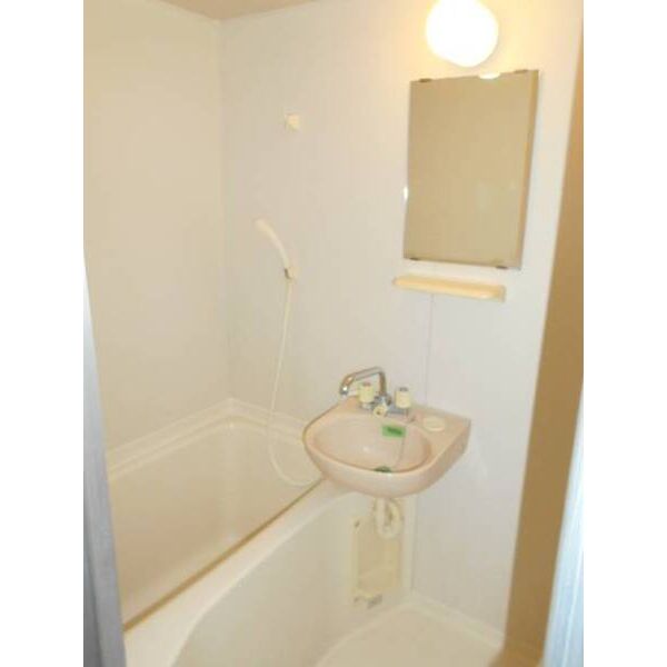 シャイニー船橋 洗面