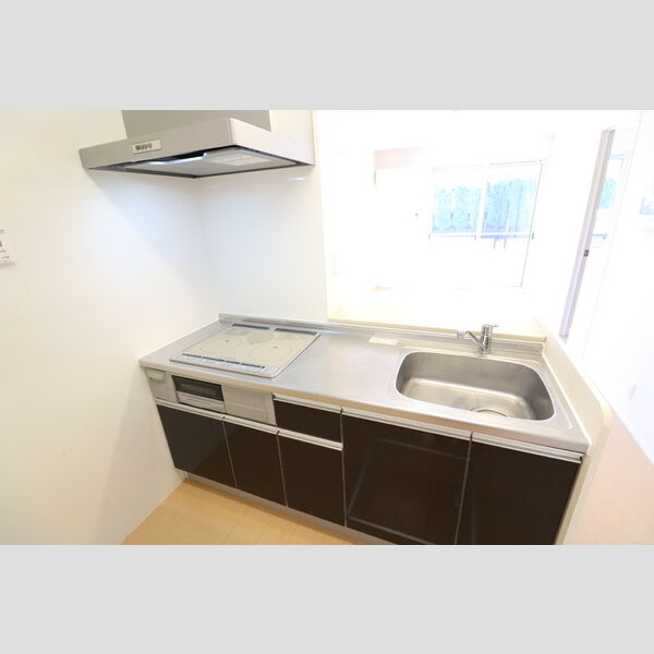 ロイヤルガーデン101号室 システムキッチン