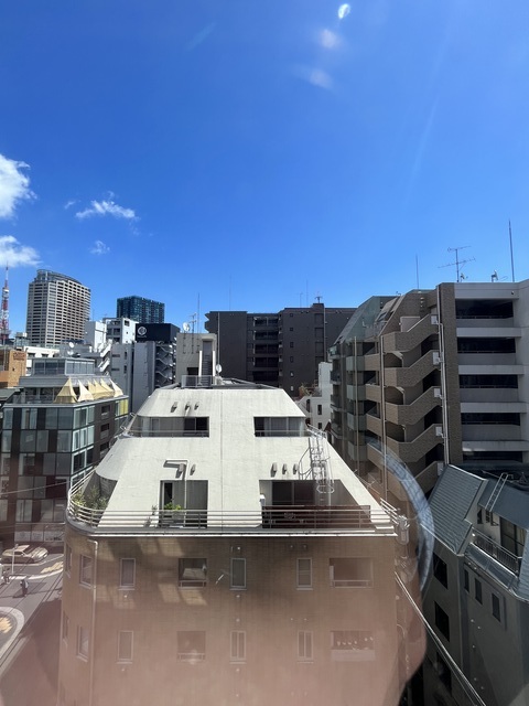 ベルファース麻布十番0802号室 展望