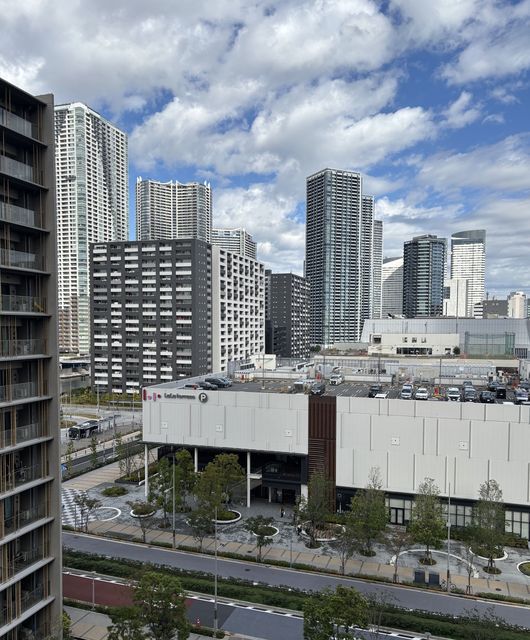 ＨＡＲＵＭＩ　ＦＬＡＧ　ＳＵＮ　ＶＩＬＬＡＧＥ　Ｔ棟801号室 2025年10月撮影