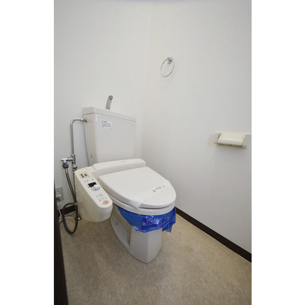 ドエル湘南0202号室 トイレ