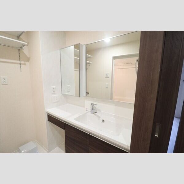STELLA新松戸201号室 洗髪洗面化粧台