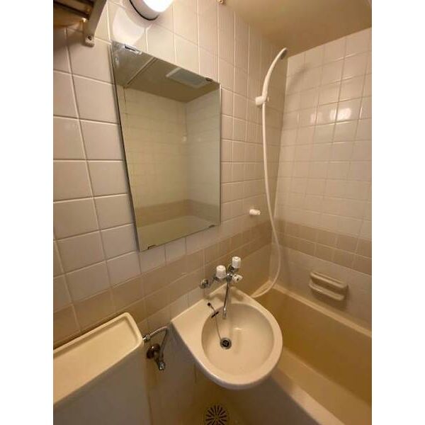 ブルーリーフ・K0409号室 洗面