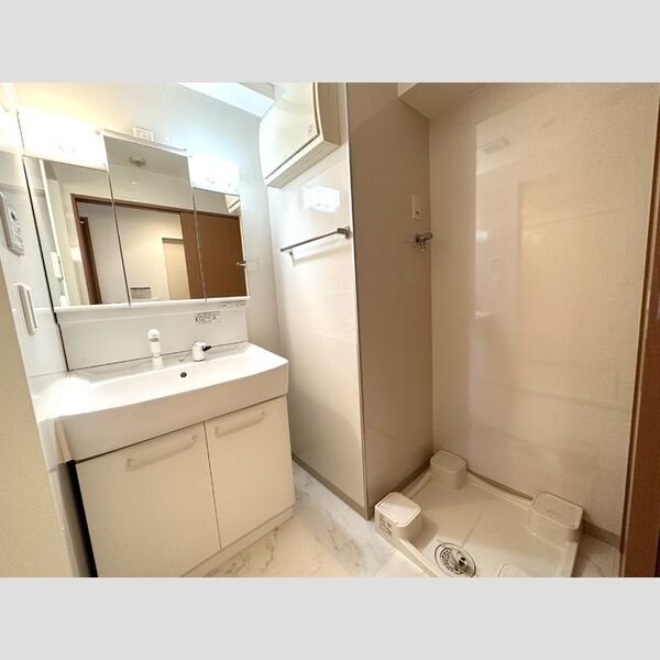 サンピタリア東船橋301号室 洗面所