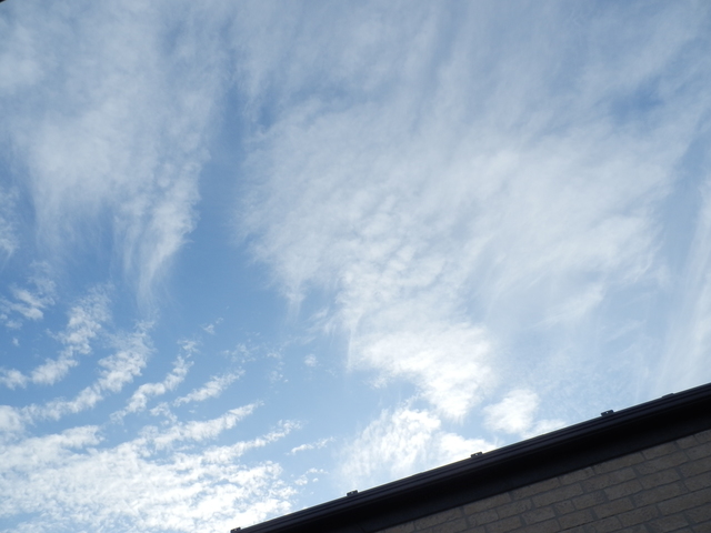 アーバンスクエア江原町Ａ棟0202号室 展望