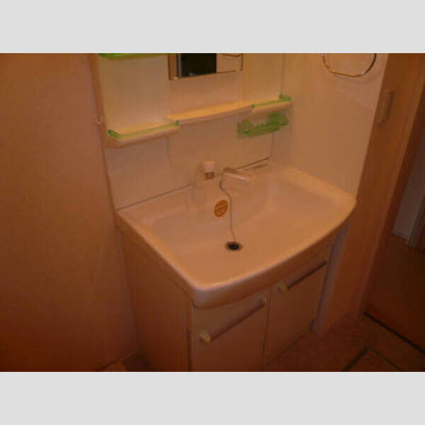 メゾン・サワ205号室 洗面