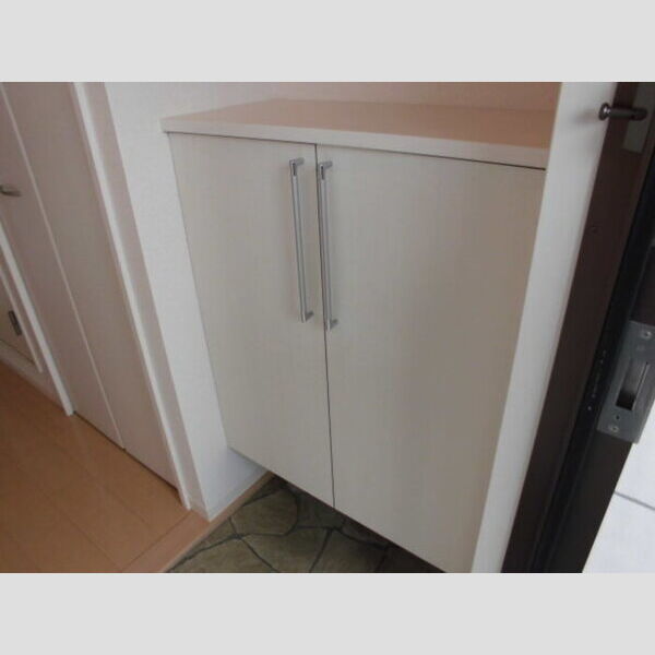 モナリエ富士見 シューズボックス