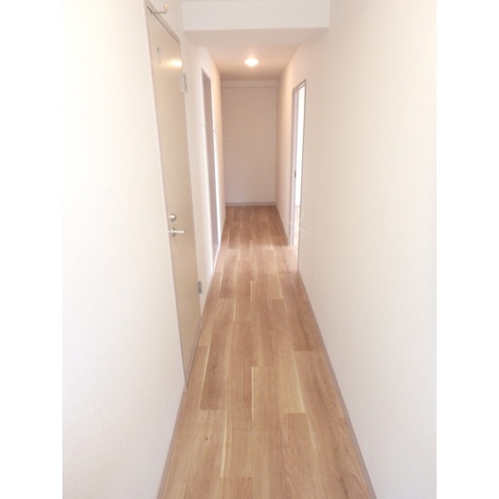 アドウィンハイム池上301号室 廊下