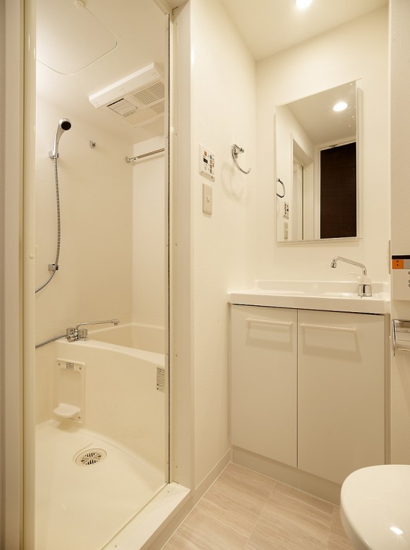 レジディア市谷薬王寺9階 洗面