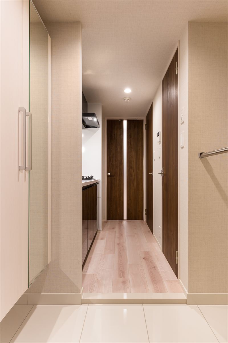 DIPS練馬春日町107号室 玄関