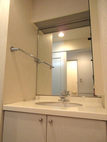 ライオンズプラザ梅島 洗面所