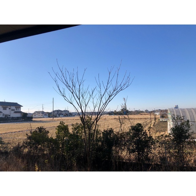 アークA104号室 部屋その他