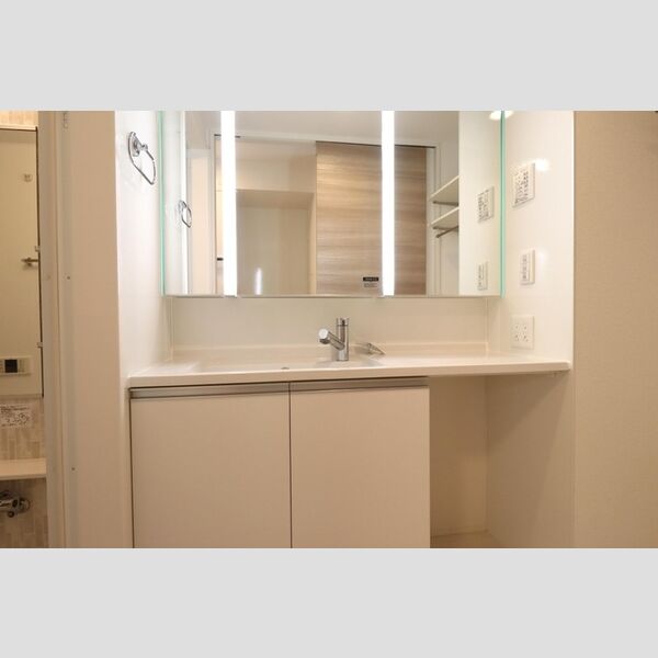 ラリュール上板橋102号室 洗髪洗面化粧台