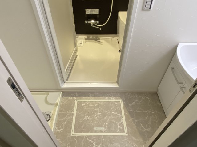 アミスタ湘南0202号室 洗面