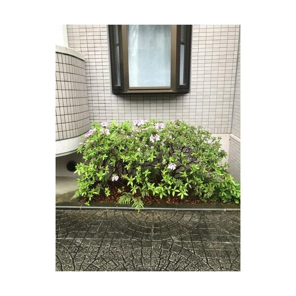 ベルヴェデーレII303号室 部屋その他