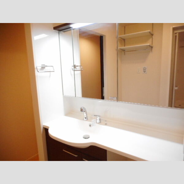 アイビーコートT 洗髪洗面化粧台