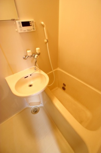 ベルコスモス1階 部屋その他