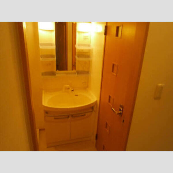 パラッツォ石神井101号室 洗面所