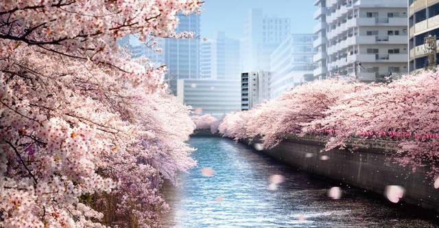 ガーラ・リバーサイド目黒7階 その他