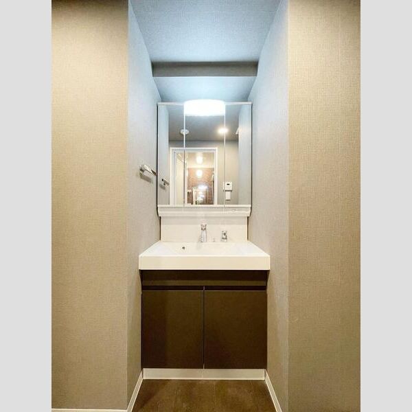 S-RESIDENCE板橋大山brim902号室 洗面