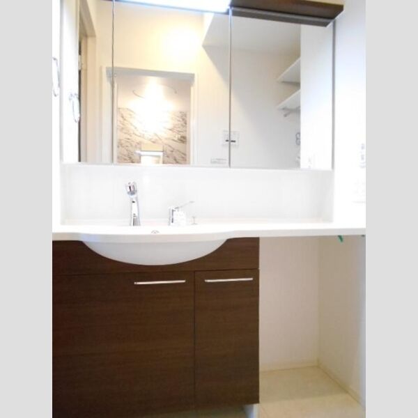 パレス国立105号室 洗髪洗面化粧台