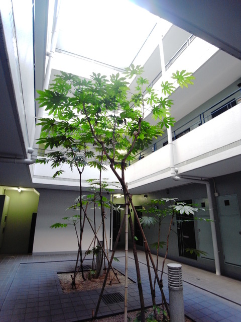 菱和パレス小竹向原1階 ★敷金礼金ナシ・初期費用がぐっと軽くなる、条件の良い住まい★