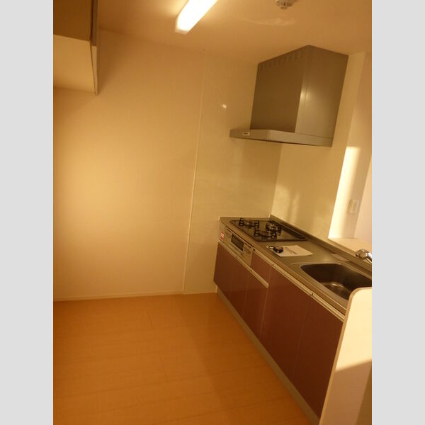 コリーヌオッツ203号室 システムキッチン