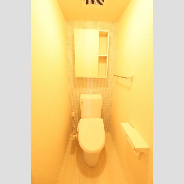 ムーンヒルズ・T トイレ