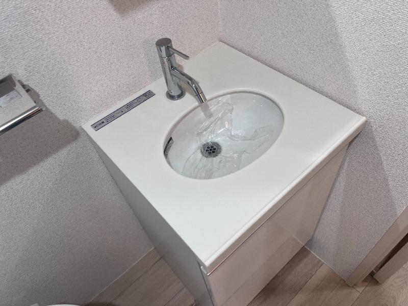 ドムス・スタイル目黒不動前3階 洗面