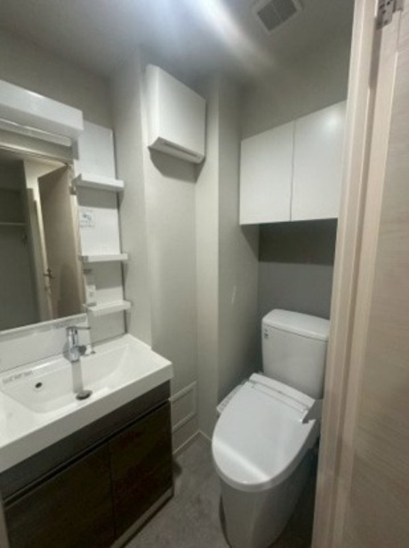 ジェノヴィア西川口Ⅳ4階 洗面